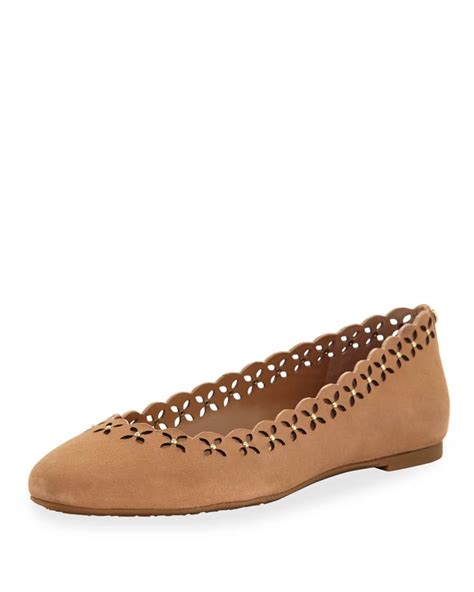 michael michael kors thalia laser-cut suede ballerina flat